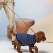 Suéter mascota