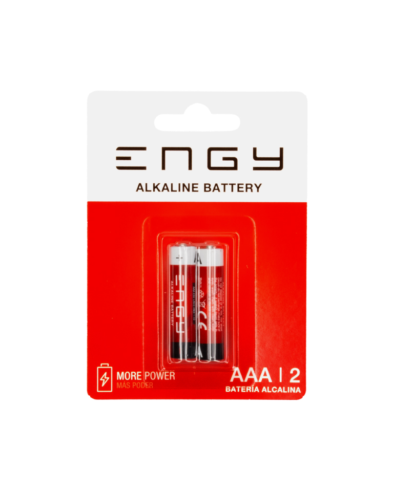 Pilas alcalinas AAA X 2