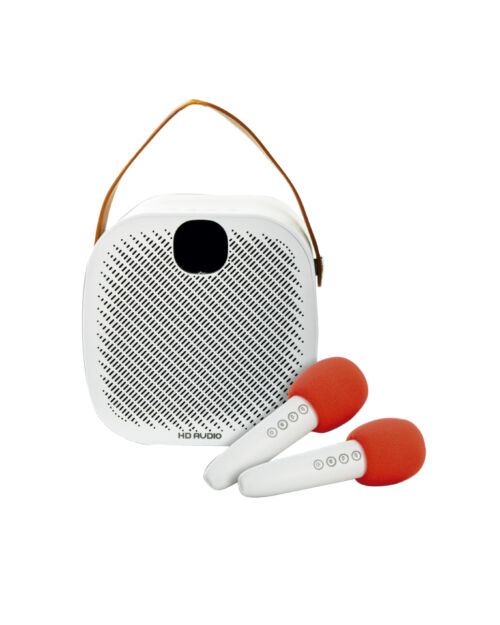 Parlante karaoke portátil 2,0