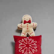 Cojín de muñeco de jengibre