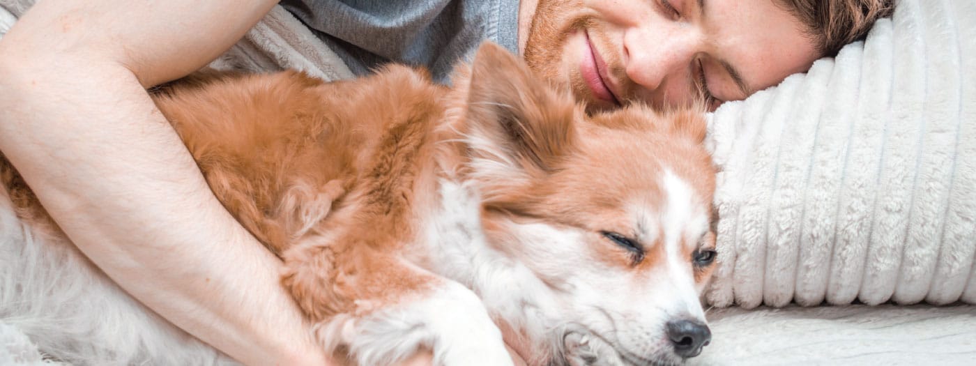 Sueño profundo junto a tu mascota