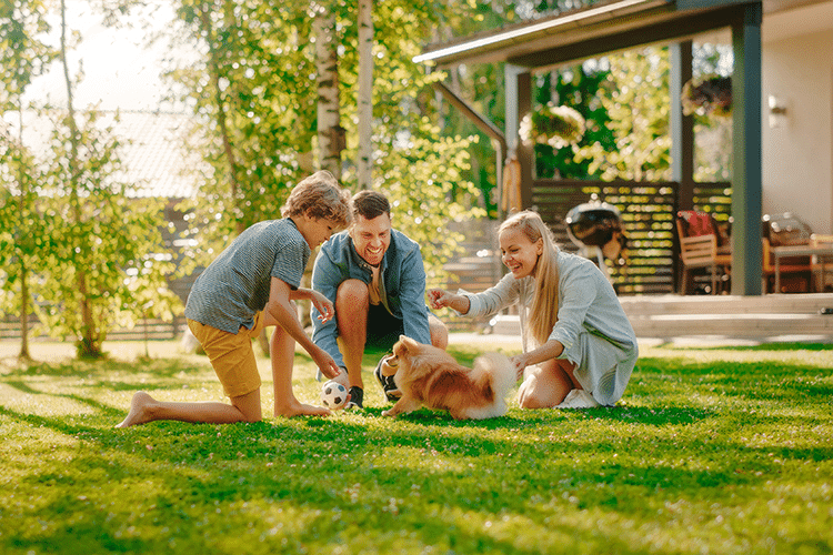 Guía para cuidar a tu nueva mascota: Tips para dueños primerizos