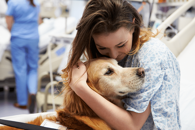 terapia con animales