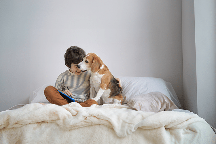 Terapia con Animales: Un Aliado en Entornos Médicos