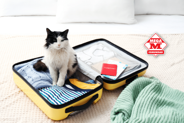 Consejos para Viajar con Mascotas