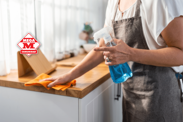 Tips y Productos Recomendados para Mantener tu Casa Impecable