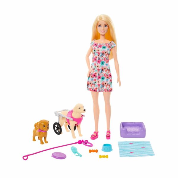 Set De Muñeca Barbie Paseadora De Perros En Silla De Ruedas MATTEL Incluye Accesorios - Imagen 2