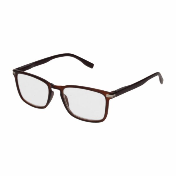 Lentes De Lectura Rojo Y Gris Más Estuche AE - Imagen 2