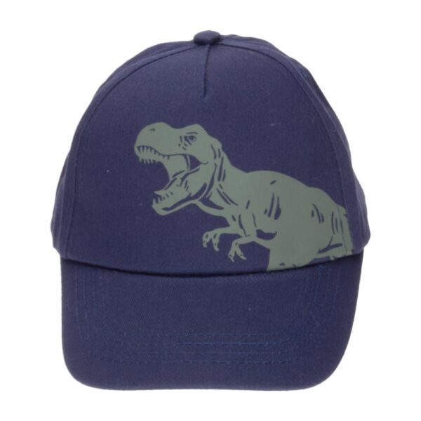 Set Niño Gafas Y Gorra Azul  Diseño Dino AE - Imagen 3