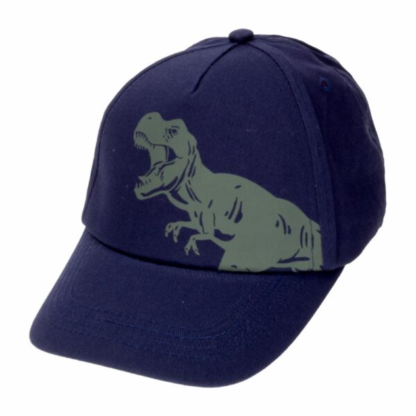 Set Niño Gafas Y Gorra Azul  Diseño Dino AE - Imagen 4