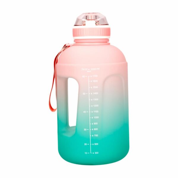 Tomatodo Con Degradado De Color Rosa Aqua FREE HOME 2200 Ml - Imagen 2