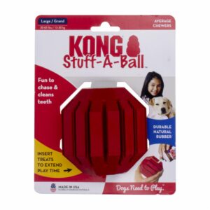 Juguete Para Perro De Caucho Limpia Dientes KONG Grande