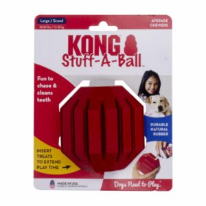 Juguete Para Perro De Caucho Limpia Dientes MASTER KONG Grande