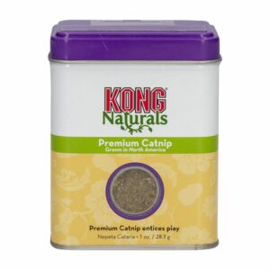 Hierva De Gato Natural MASTER KONG 28.3 G