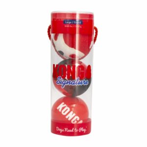 Juguete Para Perro Pelota MASTER KONG Mediano