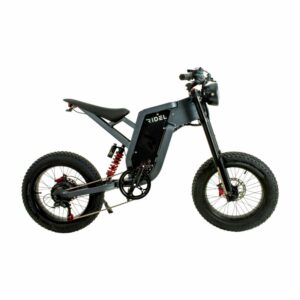 Bicicleta Eléctrica R1 RIDER 20"