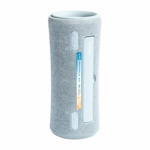 Parlante Portátil SRS-XG300/HCLA7 SONY Gris