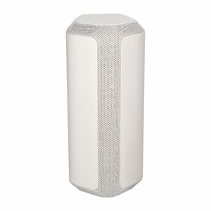Parlante Portátil SRS-XE300 SONY Gris