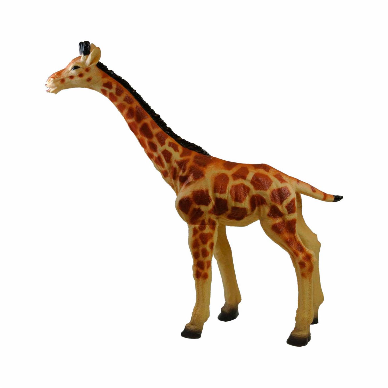 Animales De La Selva THE NATURE ZONE La Zona Natural - Imagen 7