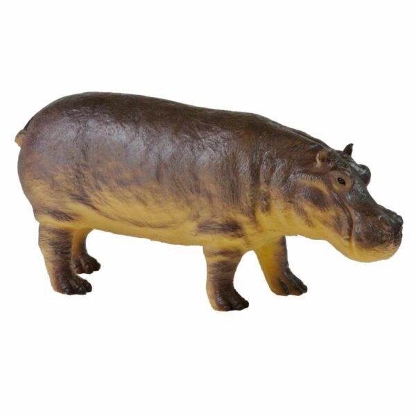 Animales De La Selva FAST CHAMP La Zona Natural - Imagen 2