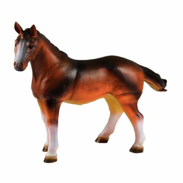 Caballo Mediano FAST CHAMP La Zona Natural - Imagen 2