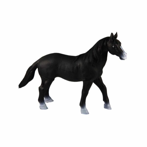 Caballo Mediano FAST CHAMP La Zona Natural - Imagen 5