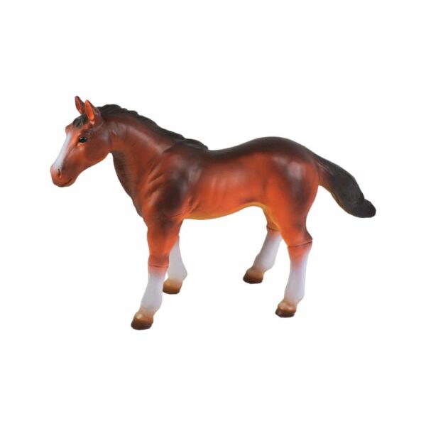 Caballo Pequeño FAST CHAMP Surtidos - Imagen 6