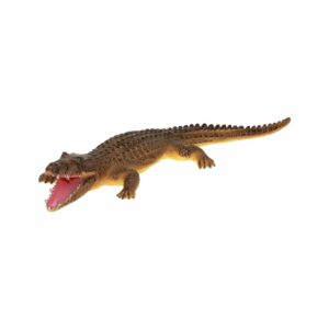 Cocodrilo Grande FAST CHAMP La Zona Natural