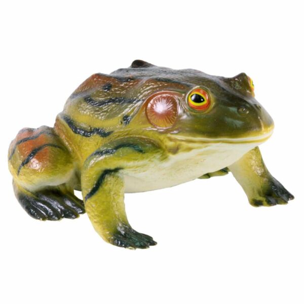 Animales Reptiles FAST CHAMP La Zona Natural - Imagen 3