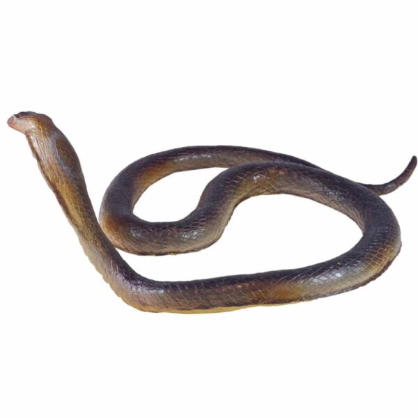 Animales Reptiles FAST CHAMP La Zona Natural - Imagen 4