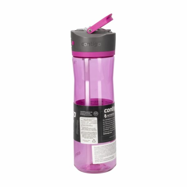 Tomatodo Ashland Dragon Fruit CONTIGO 710 Ml - Imagen 2
