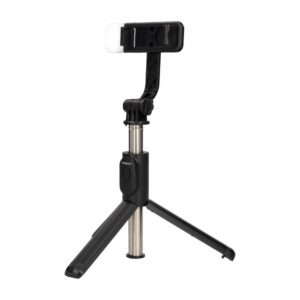 Selfie Stick Led Light TREQA Wireless
