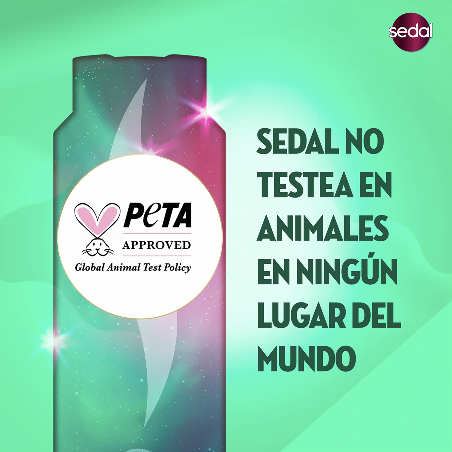 Crema Para Peinar Rizos Obedientes SEDAL 300 Ml