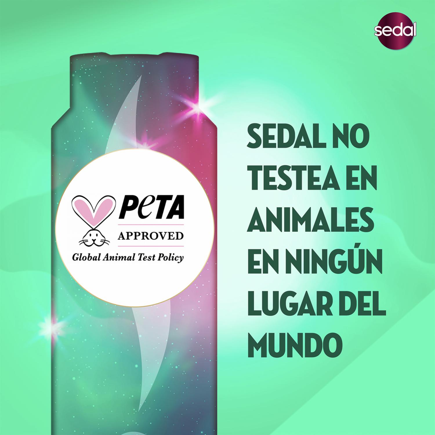 Shampoo De Cabello Rizos Definidos SEDAL 340 Ml