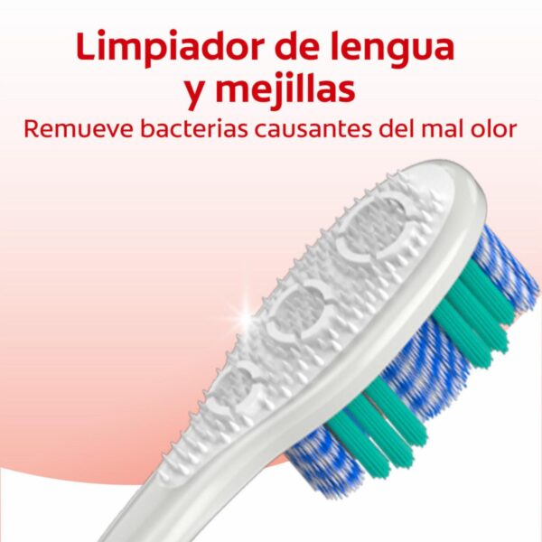 Cepillo Dental Luminouse White 360 Cerdas Medianas COLGATE X2 Uds - Imagen 5