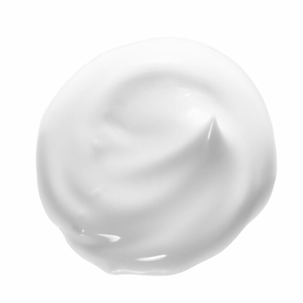 Shampoo Capilar Hair Food Coco Reparación FRUCTIS GARNIER L´ORÉAL 300 Ml - Imagen 3