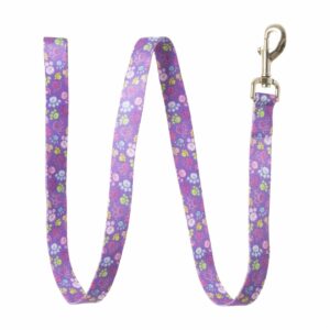 Collar Para Perros Huellas COASTAL Unidad