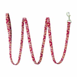 Correa Metalica Para Perro Coronas Reales ACCENT 5/8"X6