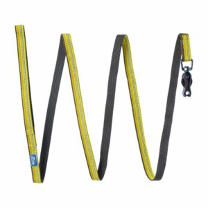 Correa Para Perro Con Broche Tijera Dorado K-9 EXPLORER 5/8"X6