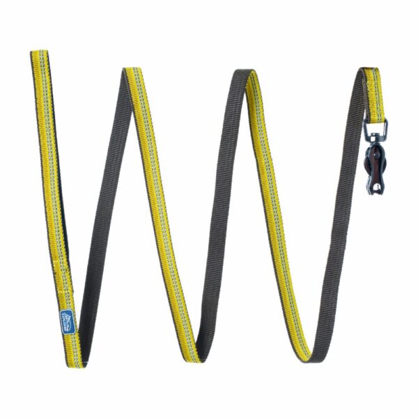 Correa Para Perro Con Broche Tijera Dorado K-9 EXPLORER 5/8"X6