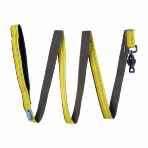 Correa Para Perro Con Broche Tijera Dorado COASTAL 1"X06