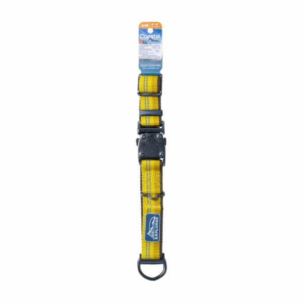 Collar Reflectivo Para Perro Dorado K-9 EXPLORER Mediano
