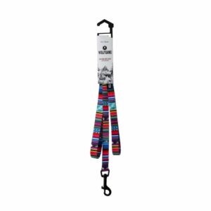 Correa Para Perro Quetzal WOLFGANG 5/8"X4