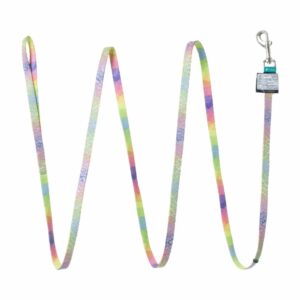 Correa Estampada Arco Iris Corazones LAZER BRITE 3/8"X6