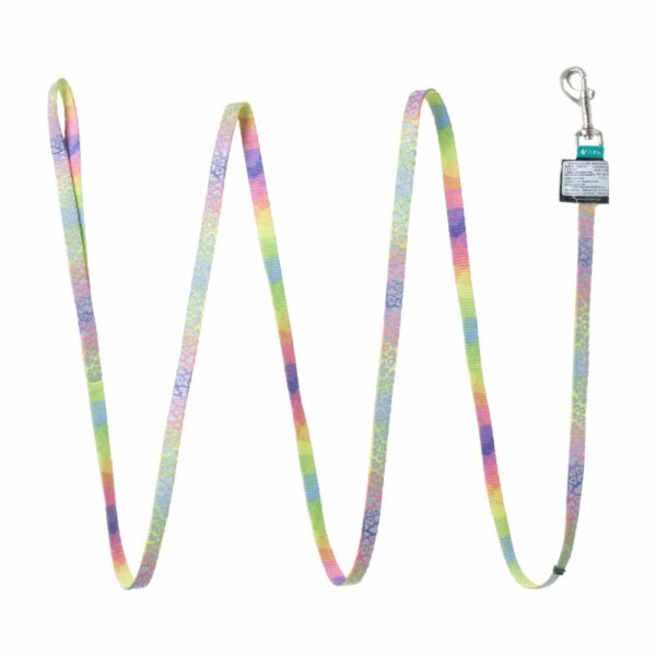 Correa Estampada Arco Iris Corazones LAZER BRITE 3/8"X6