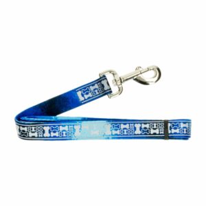 Correa Estampada Azul Multi Huesos LAZER BRITE 1"X6