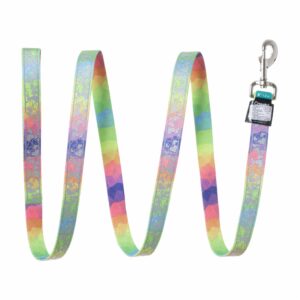 Correa Estampada Arco Iris Corazones LAZER BRITE 1"X6