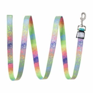 Correa Estampada Arco Iris Corazones LAZER BRITE 1"X6