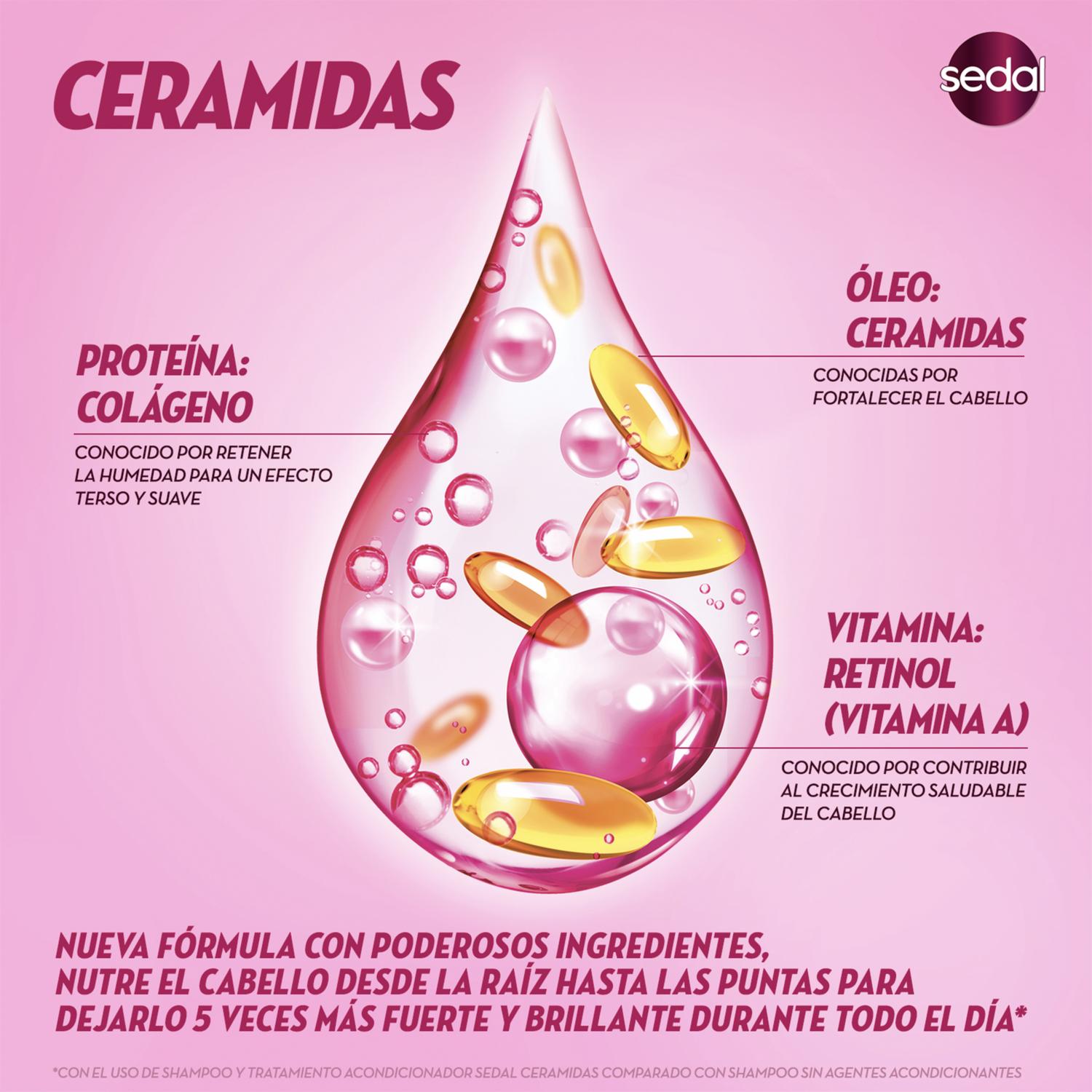 Shampoo Con Ceramidas Active SEDAL 650 Ml - Imagen 4