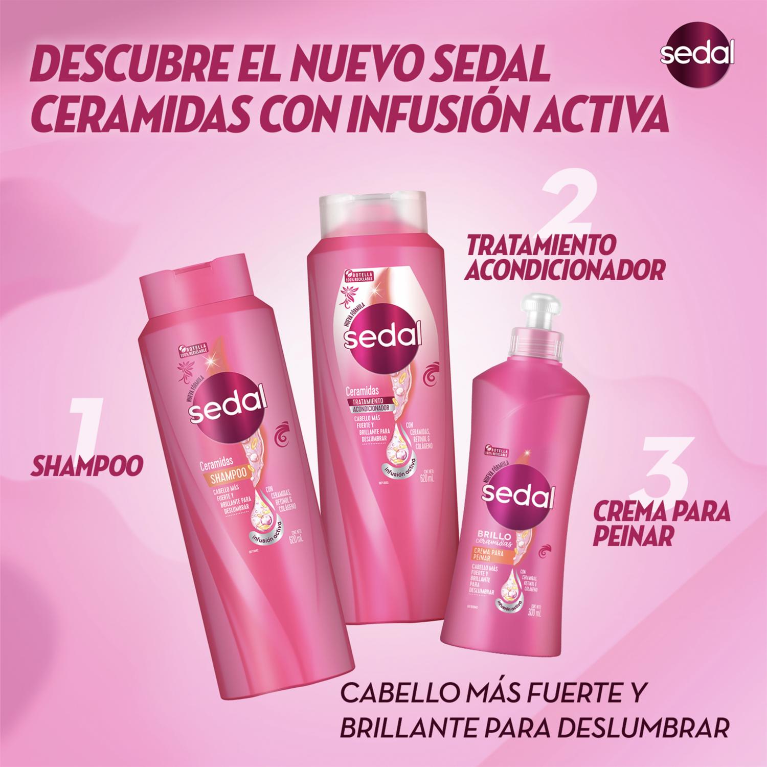 Shampoo De Cabello Con Ceramidas Active SEDAL 650 Ml